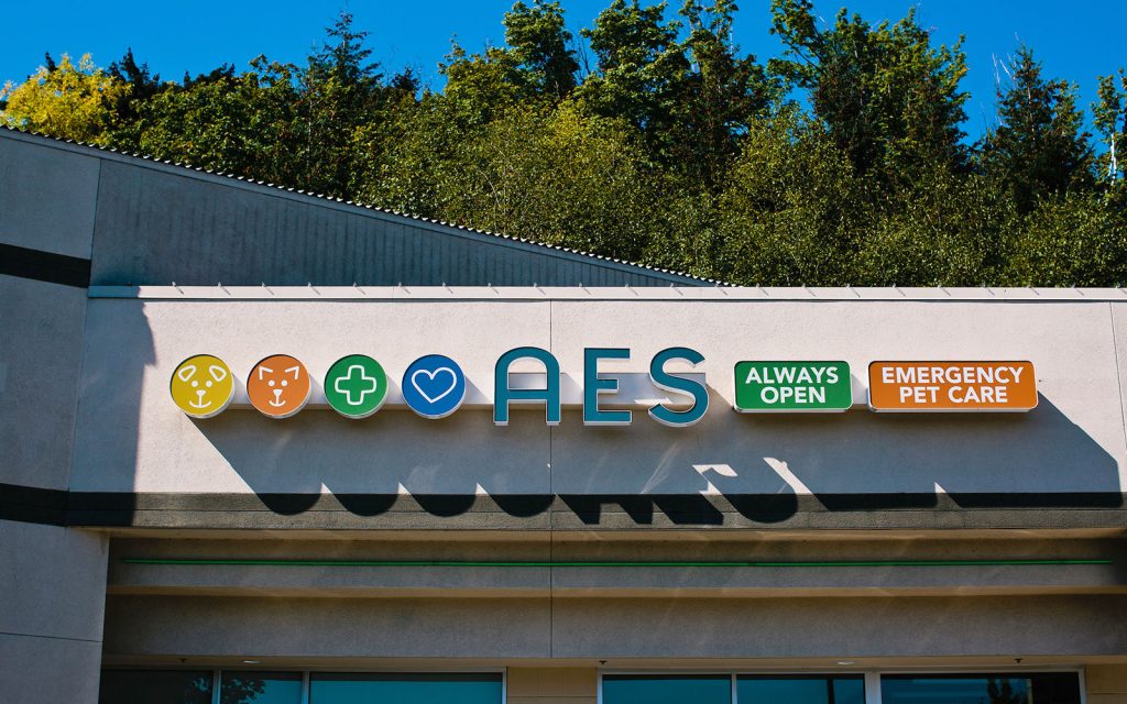 Contact AES Get In Touch