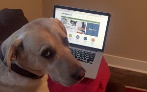 Wilson approves the new AES Website!